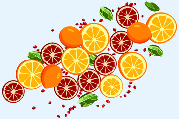 Fruit illustration of oranges, whole lemons and chunks with pomegranates cut with fruit and pomegranate