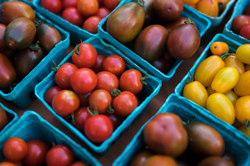Pint baskets of organic red tomatoes on the counter. Fresh organic produce on sale at the local farmers market. Organic, agriculture products. Freshly, seasonal harvested vegetables. Bio, healthy.