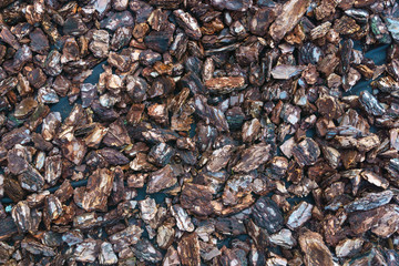 Tree bark mulch.The texture of mulch bark for a garden. Closeup of wood chip path covering. Wood chips texture, wooden biomass background