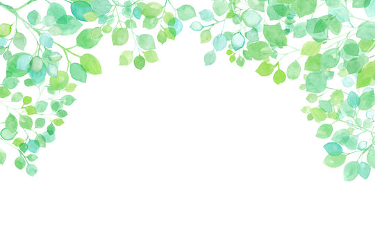 新緑の木漏れ日のフレーム 水彩イラスト Stock Illustration Adobe Stock 新緑の木漏れ日のフレーム 水彩イラスト Stock Illustration Adobe Stock
