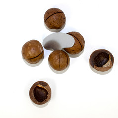 Macadamia nut on a white background