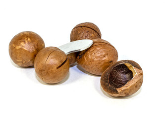 Macadamia nut on a white background