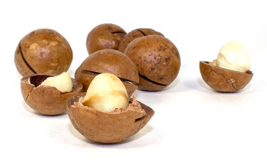 Macadamia nut on a white background