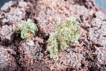 chocolate chip cookies with marijuana, sprinkled with chocolate chips and cannabis, are on a slate dish. close- up