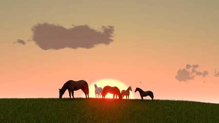 Fototapeta na wymiar Horse Outdoor at Sunset 3D Rendering