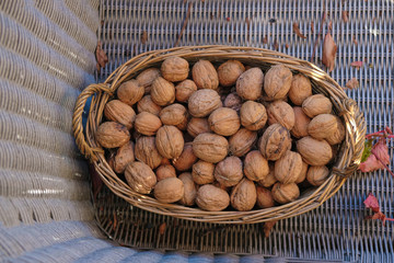 Walnuts isolated on a wicker surface. Healthy eating.Outdoor in Provence.