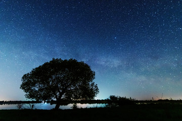 Fototapeta na wymiar A magical starry night on the river bank with a large tree and a milky way in the sky and falling stars in the summer.