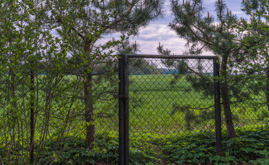 garden edge with a garden fence and exit gate overlooking a cereal field and a forest in the distance