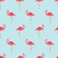 Vector illustration seamless pattern with pink flamingo. Exotic bird