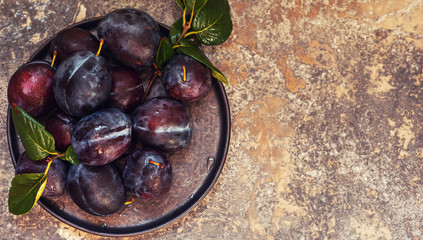 Fresh organic plums in the grey plate. Copy space for your text. Top view. Flat lay. Toned image.