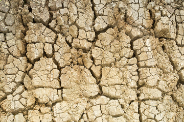 Aridity land the ground cracks.