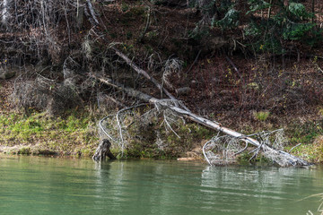 Bieszczady Mountains in the autumn mood. Near Polanczyk resort.