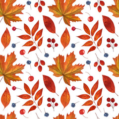 Watercolor seamless pattern with fall colorful leaves and berries on the white background. Hand drawn autumn background. Cute nature print with leaves for autumn decor.