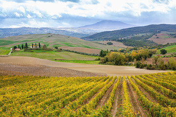 Fototapeta na wymiar Tuscany Country Landscape Val d'Orcia Italy