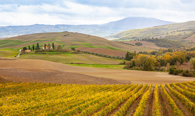 Tuscany Country Landscape Val d'Orcia Italy