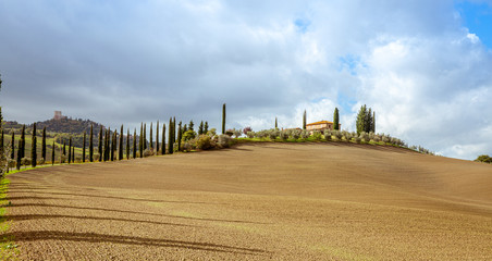 Fototapeta premium Tuscany Country Landscape Val d'Orcia Italy