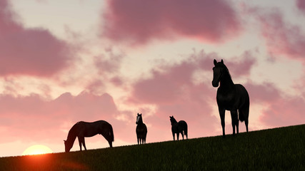 Horse Outdoor at Sunset 3D Rendering