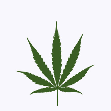 Green marijuana cannabis leaf weed icon logo symbol sign illustration for your projects.- Image