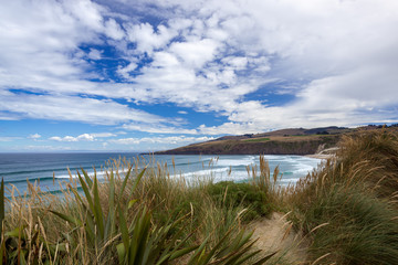 Fototapeta na wymiar View of Sandfly Bay in the South Island of New Zealand