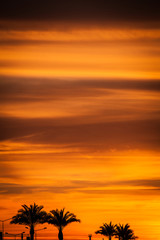 A full sun setting over the sea, reflecting in the water