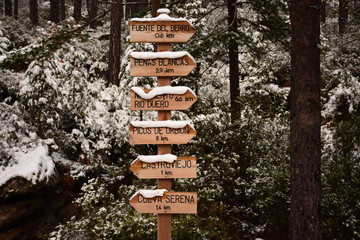 Indicaciones nevadas