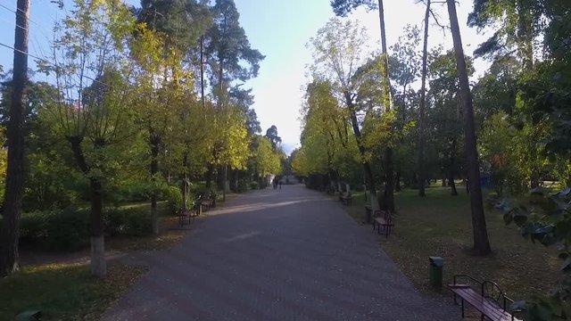 Aerial view of a walkway in a recreation park in the countryside in the suburbs. A drone span between trees in a city park. Resting-place. Treadmill
