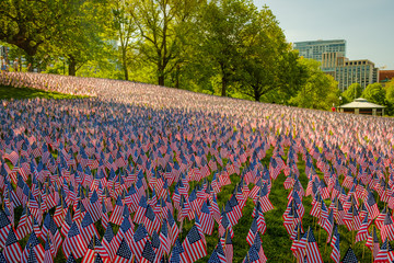 Looking Out Over Memorial Day Flags on Boston Common