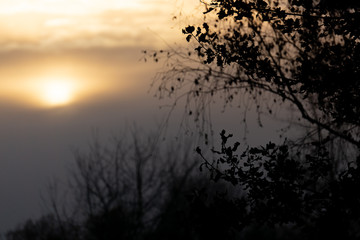 Wenn der Himmel Trauer trägt