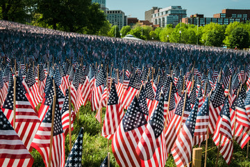 Closeup of Flags on Boston Common