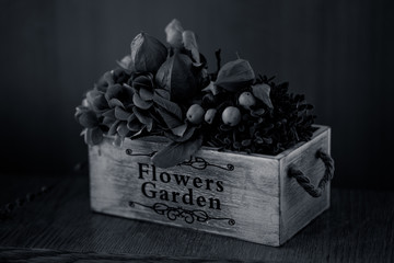 Blumen im Topf schwarz/weiß