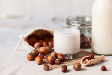 Fresh organic vegan hazelnut milk. Alternative source of protein for vegetarians. Raw hazelnuts, peeled and unpeeled to illustrate ingredients. Concept of healthy lifestyle. Closeup, white background