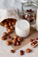 Fresh organic vegan hazelnut milk. Alternative source of protein for vegetarians. Raw hazelnuts, peeled and unpeeled to illustrate ingredients. Concept of healthy lifestyle. Closeup, white background