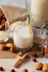 Fresh organic vegan milk. Alternative source of protein for vegetarians. Raw almond, hazelnut, rice and oat to show ingredients. Concept of healthy lifestyle. Closeup, white background, rustic style