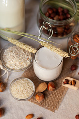 Fresh organic vegan milk. Alternative source of protein for vegetarians. Raw almond, hazelnut, rice and oat to show ingredients. Concept of healthy lifestyle. Closeup, white background, rustic style