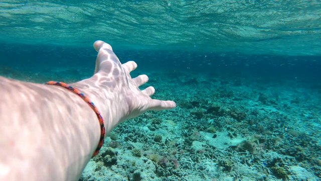 POV of man's hand underwater snorkeling in blue water in tropical azure sea.
