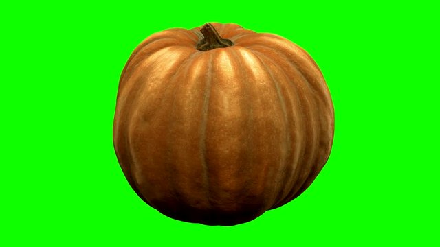 rotating pumpkin on green background with alpha channel . 3d 4K