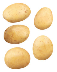 Isolated potatoes. Collection of whole pieces potatoes isolated on white background with clipping path