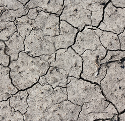 Dry cracked earth texture