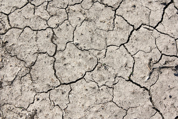 Dry cracked earth texture