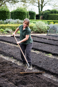 Woman raking freshly laid bed of soil in vegetable garden