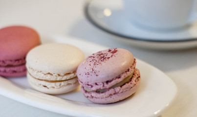 coffee, macaroon, cup, pink, almond, blue, candy, milk, porcelain, bake, bakery, biscuit, breakfast, brown, cake, cappuccino, closeup, colorful, confection, confectionery, cookie, cookies, cream, deli
