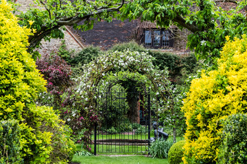 Scenic view of garden with shrubs and arbor