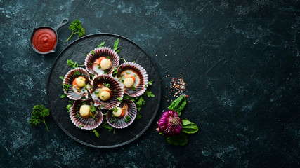 Baked scallops in shells with parsley and spices. Top view. Free space for your text.