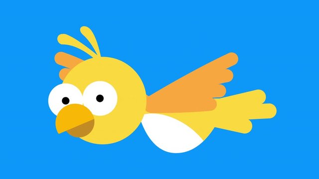 Full frame canary bird flying cycle