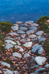 autumn leaves on the beach