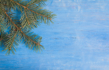 Christmas holiday background. Fir branches on the blue paint wooden background. Copy space
