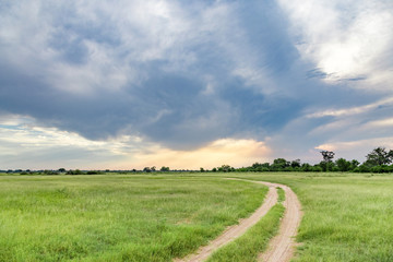 Jeep track through a cloud covered grassy plain in the Okavango Delta