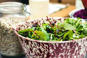 Fresh Swiss chard leaves in salad bowl