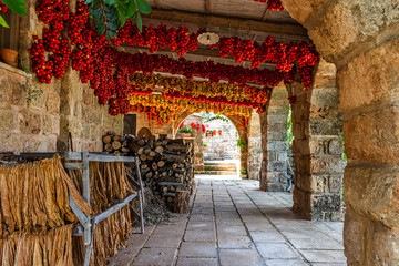 hanging tomatoes in the farmhouse - obrazy, fototapety, plakaty