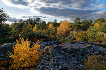 Gorges de Franchard in autumn season.Fontainebleau forest